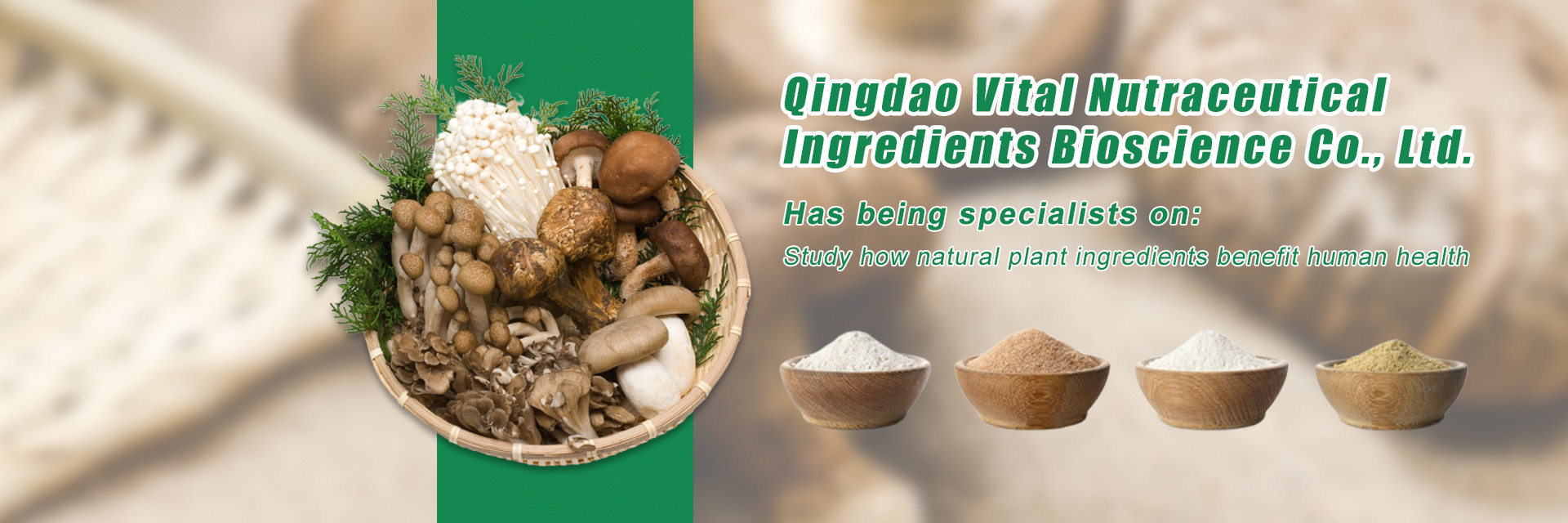 qualité Extrait de plantes usine