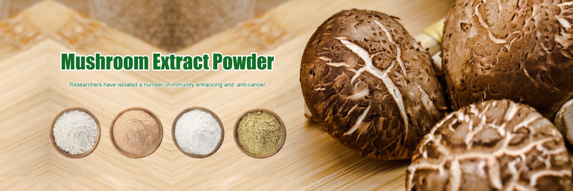 qualité Extrait de plantes usine